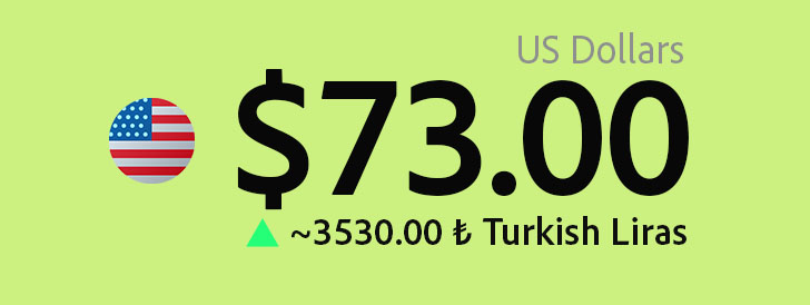 3. Your funds are pegged to EUR or USD denominated accounts automatically.